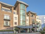 Thumbnail to rent in Maumbury Gardens, Dorchester, Dorset
