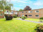 Thumbnail to rent in Murton Court, St. Albans, Hertfordshire