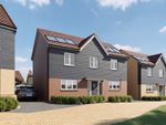 Thumbnail to rent in "The Chestnut" at Hadham Road, Bishop's Stortford