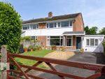 Thumbnail for sale in Orchard Close, Ringwood