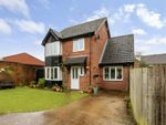 Thumbnail for sale in Merlin Close, Bishops Waltham