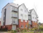 Thumbnail to rent in Westwood Drive, Kingsmead, Canterbury