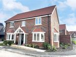 Thumbnail to rent in Swardeston, Norwich, Norfolk