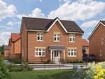 Thumbnail to rent in "Chestnut" at Marigold Place, Stafford