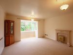 Thumbnail to rent in The Spinney, Solihull