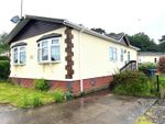 Thumbnail for sale in Rugeley Road, Armitage, Rugeley