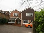 Thumbnail to rent in Salisbury Road, Andover