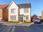 Thumbnail to rent in Skelton Mead, West Broyle, Chichester