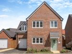 Thumbnail to rent in Cattlegate, Elmswell, Bury St. Edmunds