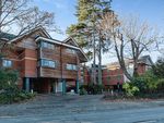 Thumbnail to rent in Cliddesden Road, Basingstoke, Hampshire