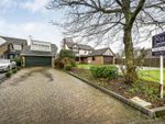 Thumbnail for sale in Hyburn Close, Bricket Wood, St. Albans