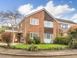 Thumbnail to rent in Boxgrove, Guildford, Surrey