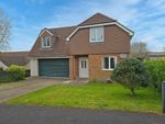 Thumbnail to rent in Abbey Rise, Okehampton, Devon