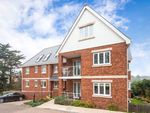 Thumbnail to rent in Foxholes Hill, Exmouth, Devon