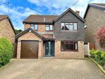 Thumbnail for sale in Paget Drive, Billericay