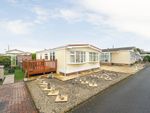 Thumbnail for sale in Willow Drive, Oaktree Park, Locking, Weston-Super-Mare