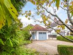 Thumbnail for sale in The Avenue, Liphook, Hampshire