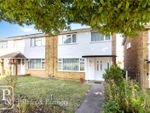 Thumbnail for sale in Porters Brook Walk, St Johns, Colchester, Essex