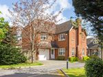 Thumbnail to rent in Willow Crescent, St.Albans