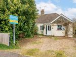 Thumbnail to rent in Blackwell Avenue, Sprowston, Norwich