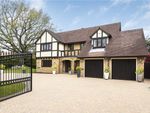 Thumbnail for sale in Barberry Way, Blackwater, Camberley, Hampshire