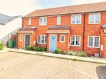 Thumbnail to rent in Ramson Lane, Pevensey, East Sussex