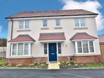 Thumbnail to rent in Hatton Trail, Darwen, Lancashire