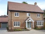 Thumbnail for sale in Roseacre, Banstead