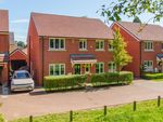 Thumbnail for sale in Rounton Close, Watford