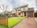 Thumbnail for sale in Bay Tree Close, Heathfield, East Sussex