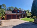 Thumbnail to rent in The Otters, Bolham, Tiverton, Devon