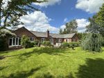 Thumbnail for sale in Walnut Tree Close, Dilwyn, Hereford