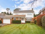 Thumbnail for sale in Deepdene Park Road, Dorking