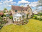 Thumbnail for sale in Childerstone Close, Liphook