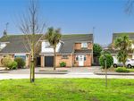 Thumbnail for sale in Plymtree, Thorpe Bay, Essex