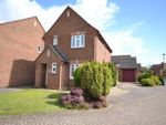 Thumbnail to rent in Clover Avenue, Bishop's Stortford