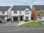 Thumbnail to rent in Tain Avenue, Bishopton