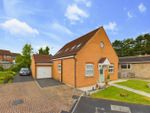 Thumbnail for sale in Woodland Rise, Driffield