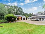 Thumbnail for sale in Brimpton Road, Baughurst, Tadley, Hampshire