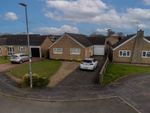 Thumbnail to rent in Baysdale, Wigston