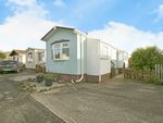 Thumbnail to rent in Tremarle Home Park, North Roskear, Camborne, Cornwall