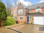 Thumbnail to rent in Colonel Stephens Way, Tenterden