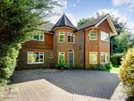 Thumbnail to rent in London Road, Hill Brow, Liss, West Sussex