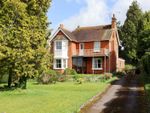 Thumbnail for sale in Jacklyns Lane, Alresford
