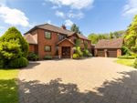 Thumbnail for sale in Saxon Close, Exning, Newmarket, Suffolk