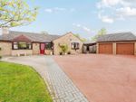 Thumbnail for sale in Grove Drive, Woodhall Spa