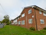 Thumbnail to rent in Durford Road, Petersfield, Hampshire