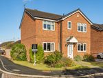 Thumbnail for sale in Carnoustie Close, York