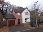 Thumbnail to rent in Pennine View, Carlisle