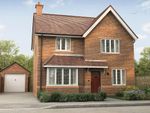 Thumbnail to rent in "The Gladstone" at Hookhams Path, Wollaston, Wellingborough